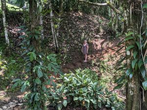 Nature path